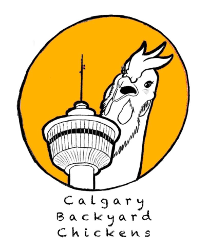CalgaryChickensYellow