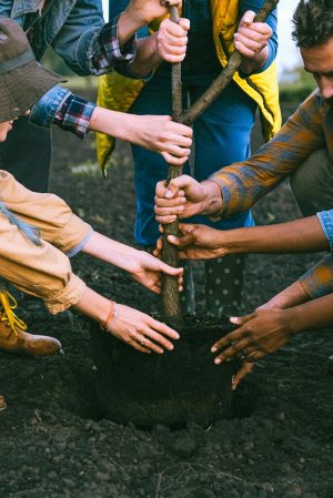 group gardening together